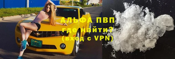 хмурый Нея