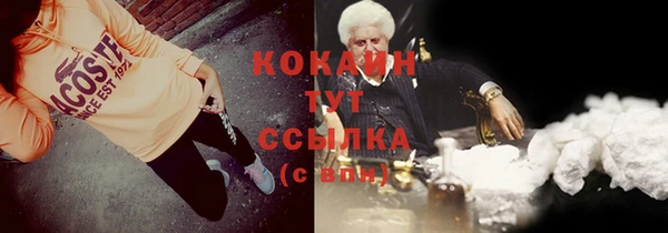 хмурый Нея