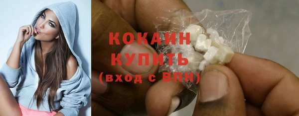 хмурый Нея