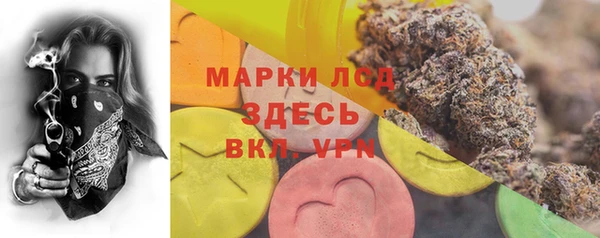 хмурый Нея